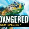 Endangered: New Species – Scenario Cards