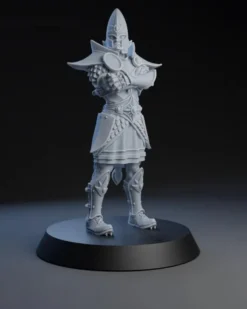 Equipe de Hauts Elfes - Elven Nobles