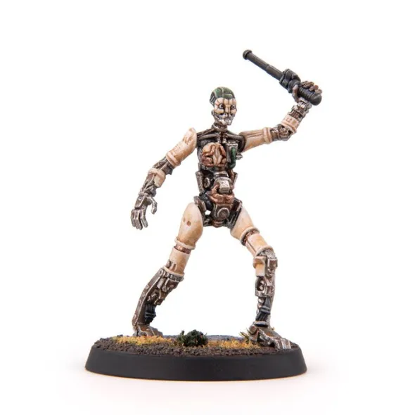 Fallout: Miniatures - Institute: Core Box