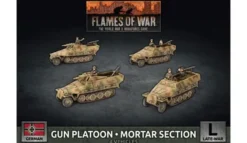 Flames of War - Sd Kfz 251 Platoon