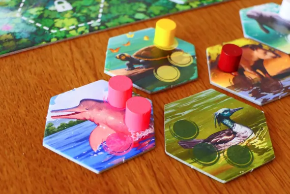 Flow: Untamed Rivers