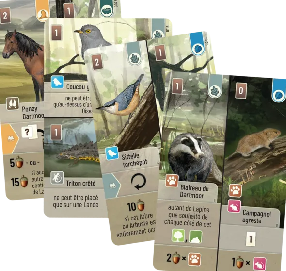 Forêt Mixte : Dartmoor + extension Exmoor