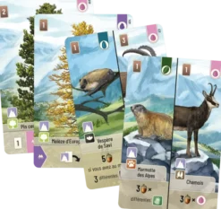 Forêt Mixte - jeu de base + 3 extensions