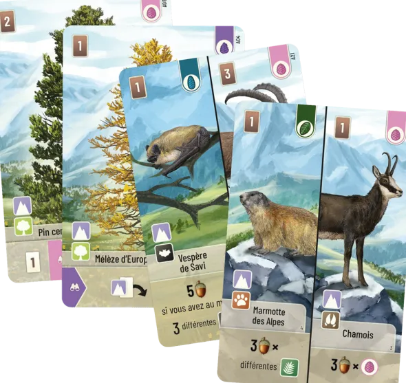 Forêt Mixte - jeu de base + 3 extensions