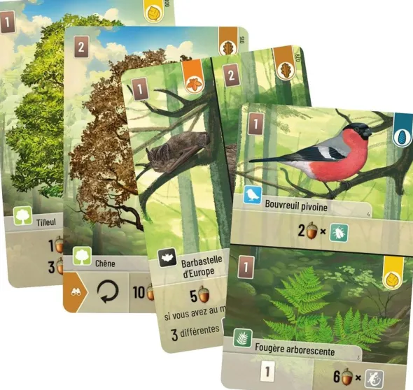 Forêt Mixte - jeu de base + 3 extensions
