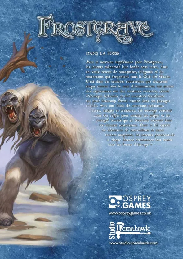 Frostgrave - Dans la Fosse