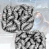 Frostgrave - Essaim de Larves