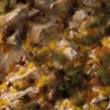 Gamers Grass - Golden Autumn Glade Basing Box