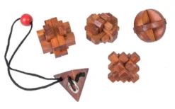 Great Minds - Women's Set of 5 Puzzles