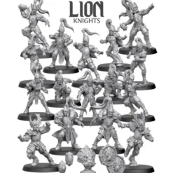 Haut elfes Lion Knight - Equipe