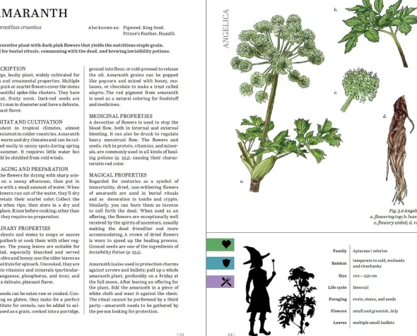 Herbalist’s Primer