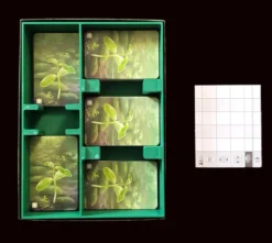 Insert compatible avec Forêt Mixte et trois extensions