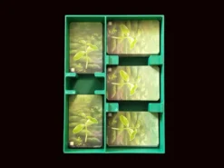 Insert compatible avec Forêt Mixte et trois extensions