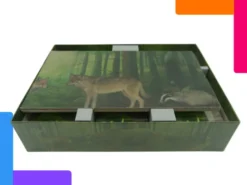 Insert compatible Forêt Mixte + extensions
