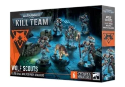 Kill Team - Scouts Space Wolves
