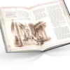 L'Anneau Unique - Récits des Terres Solitaires