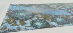 La Rivière Glacée - Battlemap