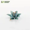 Laser Plants - Blue Agave