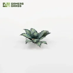 Laser Plants - Blue Agave