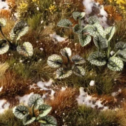 Laser Plants - Bugloss