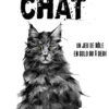 La voie du chat - JDR Solo ou Duo - PDF