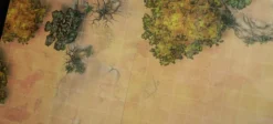 Le désert - battlemap