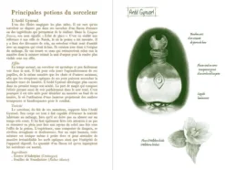 Le Manuel du Sorceleur