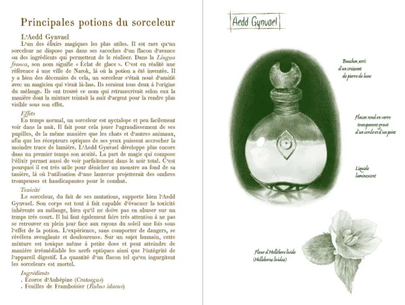 Le Manuel du Sorceleur