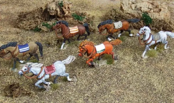 Light Horses