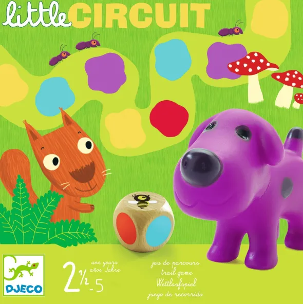 Little Circuit