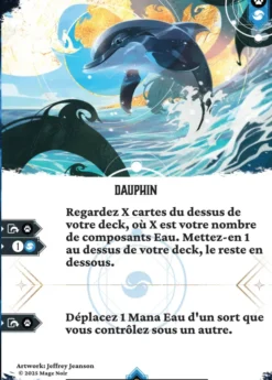 Mage Noir - Le Dauphin et le Marin
