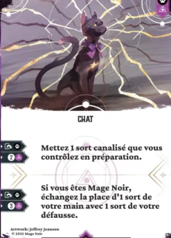 Mage Noir - Pack de 6 extensions - Saison 3
