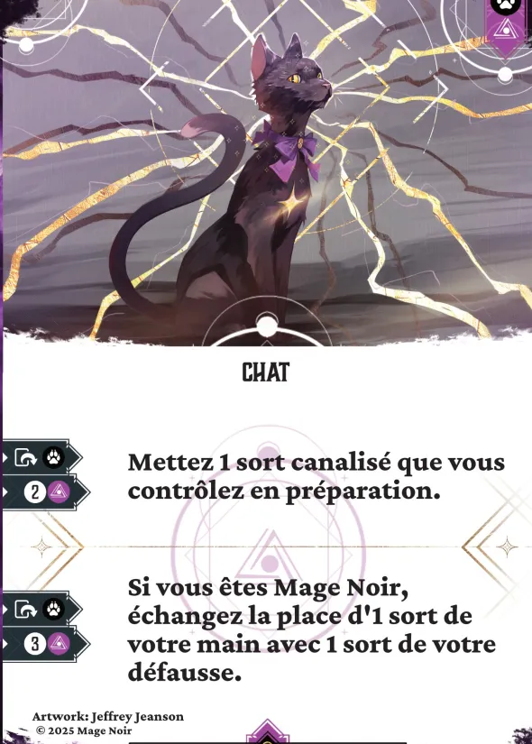Mage Noir - Pack de 6 extensions - Saison 3