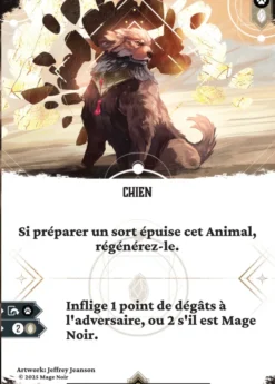 Mage Noir - Pack de 6 extensions - Saison 3