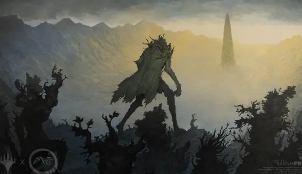 Magic The Gathering : The Lord of the Rings - Playmat
