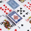 Maverick Index Standard - Bleu