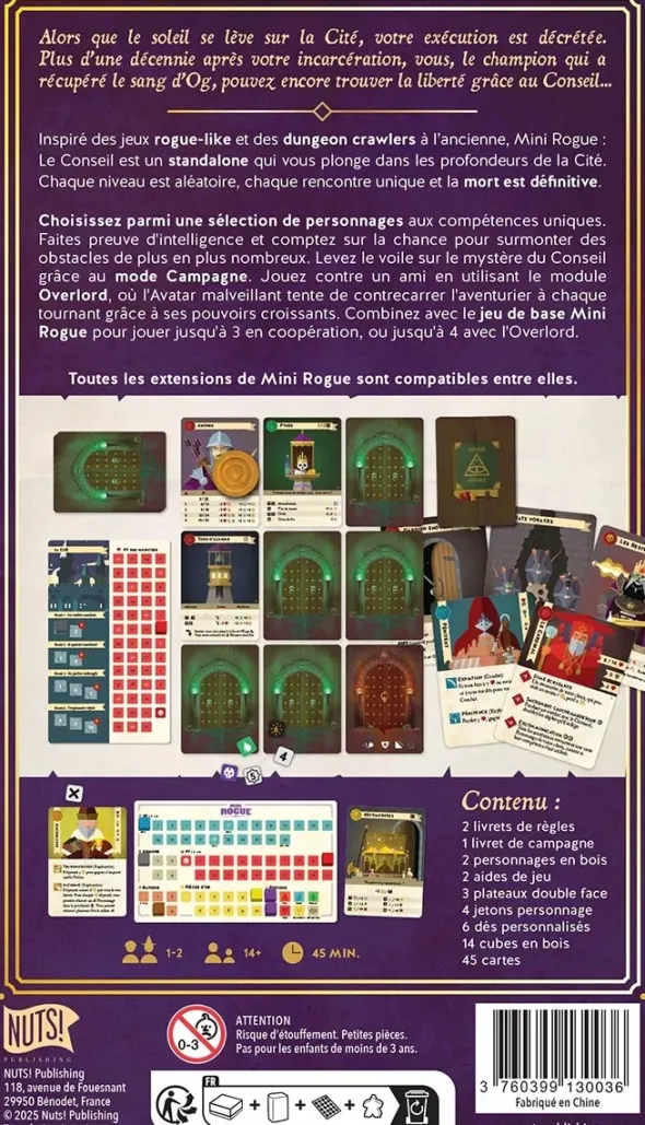 Mini Rogue - Le Conseil