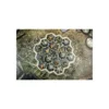 Neuroshima Hex! 3.0: Uranopolis