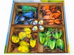 Organisateur pour Photosynthesis