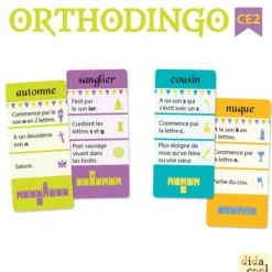 Orthodingo CE2