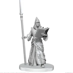 Pathfinder Battles Deep Cuts Unpainted Miniatures: Vloriak & Demonologist