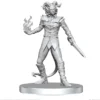 Pathfinder Battles Deep Cuts Unpainted Miniatures: Vordine & Pitborn Rogue