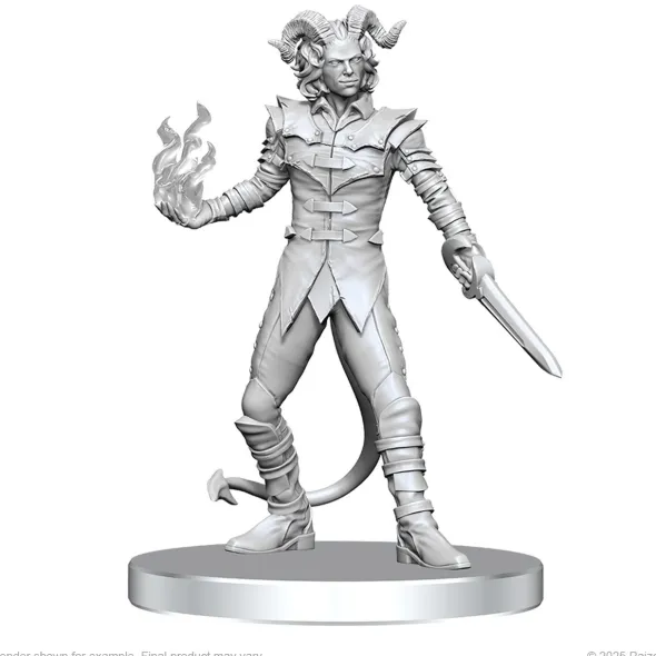 Pathfinder Battles Deep Cuts Unpainted Miniatures: Vordine & Pitborn Rogue