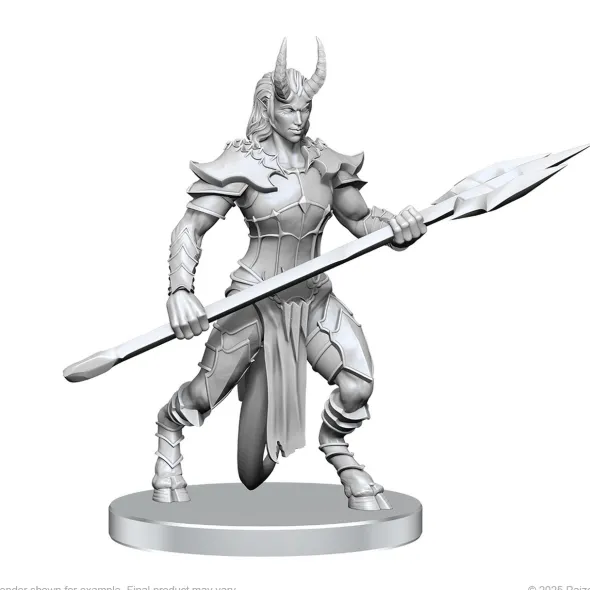 Pathfinder Battles Deep Cuts Unpainted Miniatures: Vordine & Pitborn Rogue