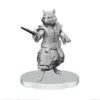 Pathfinder Battles Deep Cuts Unpainted Miniatures: Procyal & Zoaem
