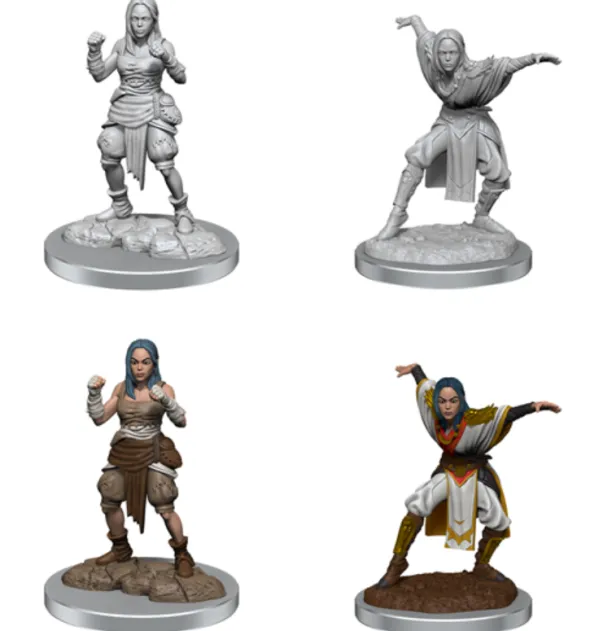 Pathfinder Deepcuts Unpainted Miniatures: Half-Elf Female Monk