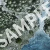 Pathfinder Flip-Mat: Boreal Forest