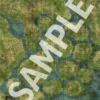 Pathfinder Flip-Mat: Marsh
