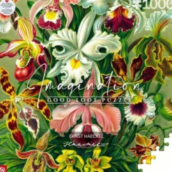 Puzzle - Ernst Haeckel - Orchid - 1000 pièces