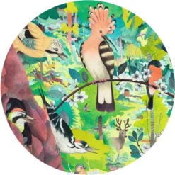 Puzzle Gallery - Owls and Birds - 1000 Pièces